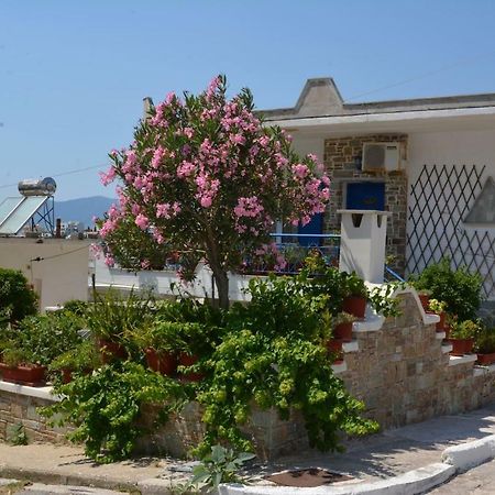 Traditional Summer House In Marmari Marmari  Екстер'єр фото